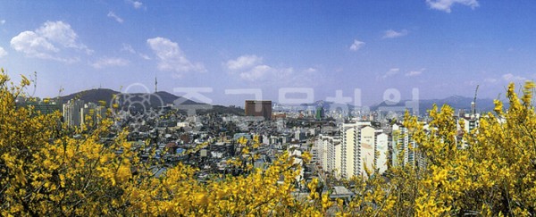 a3cdf72c1170aad5e18571aa3d9094cb_1731589680_011.jpg